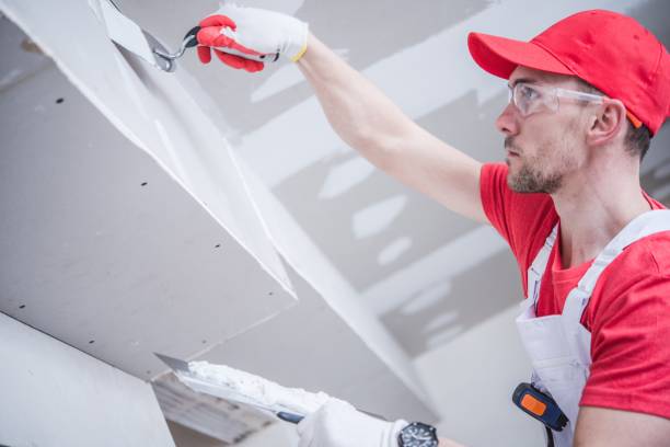  Zwolle, LA Drywall & Painting Services Pros